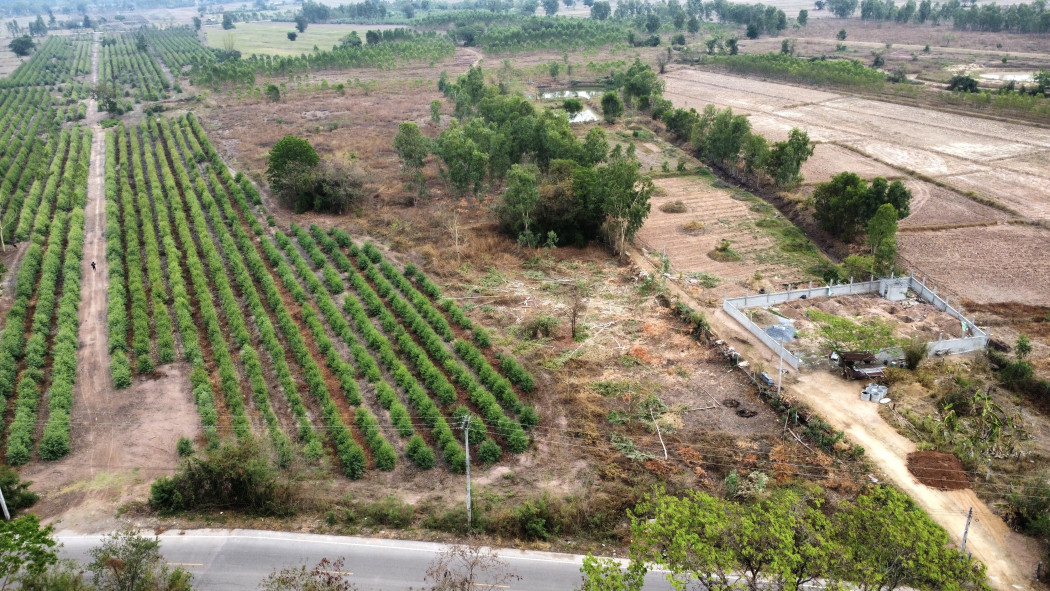 ขาย ที่ดิน แปลงใหญ่ 7 ไร่ 2 งาน 77 ตร.วา ใกล้บิ๊กซี นาดี รูปที่ 2