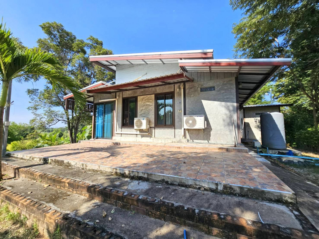 ขาย บ้านเดี่ยว 3 หลัง พร้อมร้านค้า 1 หลัง 200 ตรม. 1 ไร่ 1 งาน 30 ตร.วา รูปที่ 3