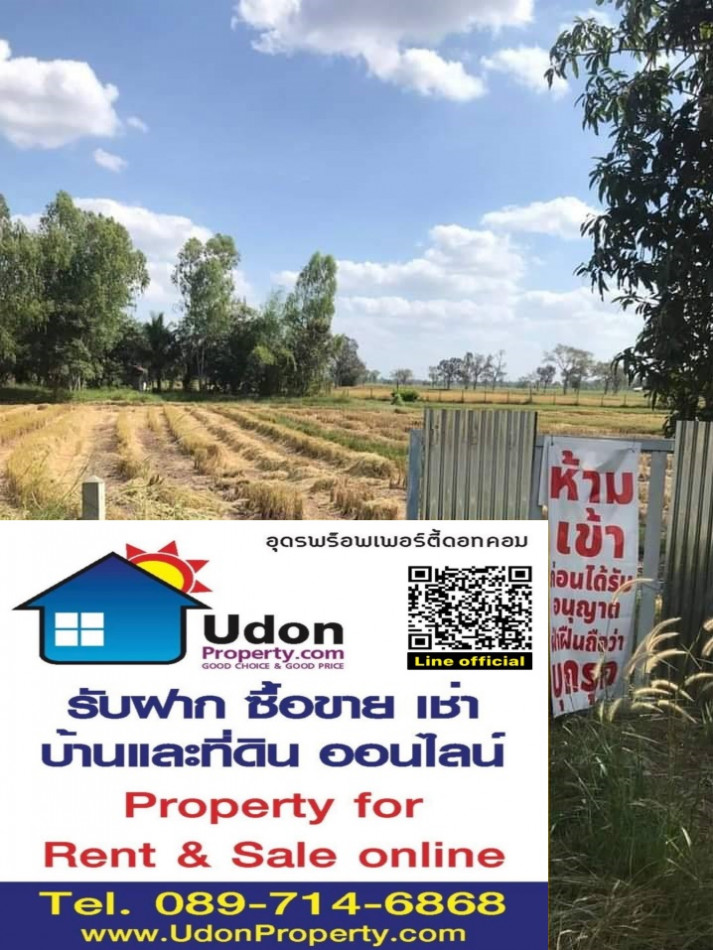 ขาย ที่ดิน พร้อมบ้านไม้ชั้นเดียว 6 ไร่ 3 งาน 50 ตร.วา รูปที่ 2