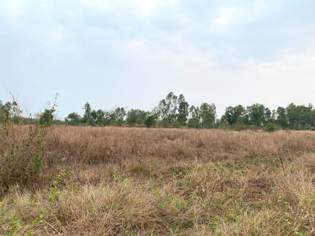 ขาย ที่ดิน แปลงใหญ่ 7 ไร่ 2 งาน 77 ตร.วา ใกล้บิ๊กซี นาดี รูปที่ 3