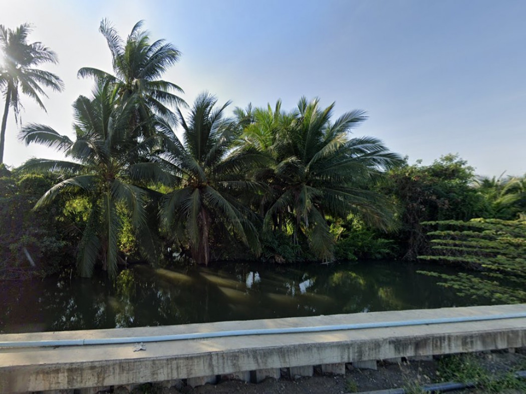 ขาย ที่ดิน สวนมะพร้าว หมู่ 6 ซอยเจ๊ปาน 26 ไร่ 77 ตร.วา รูปที่ 4