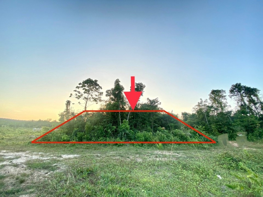 ขาย ที่ดินหาดใหญ่ ถมแล้ว ถ.สนามบิน-บ้านกลาง 71.6 ตร.วา รูปที่ 5