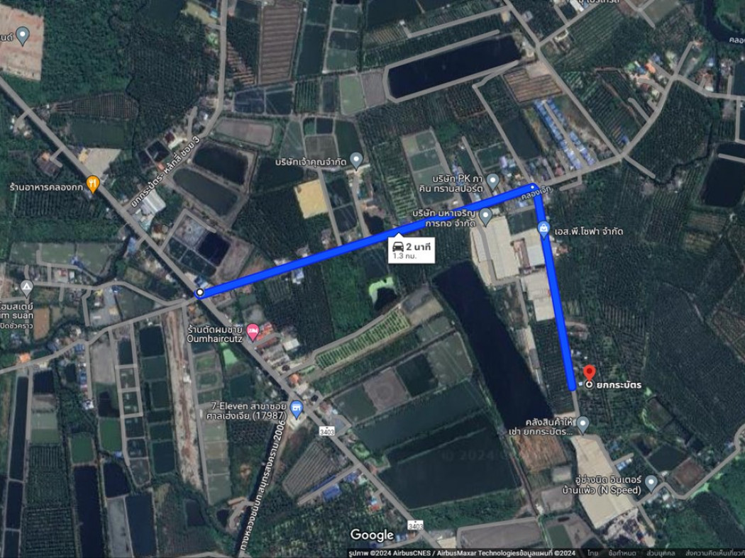 ขาย ที่ดิน สวนมะพร้าว หมู่ 6 ซอยเจ๊ปาน 26 ไร่ 77 ตร.วา รูปที่ 2