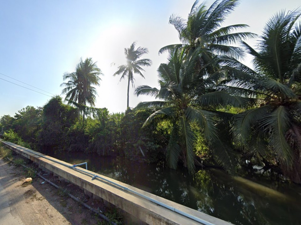 ขาย ที่ดิน สวนมะพร้าว หมู่ 6 ซอยเจ๊ปาน 26 ไร่ 77 ตร.วา รูปที่ 5