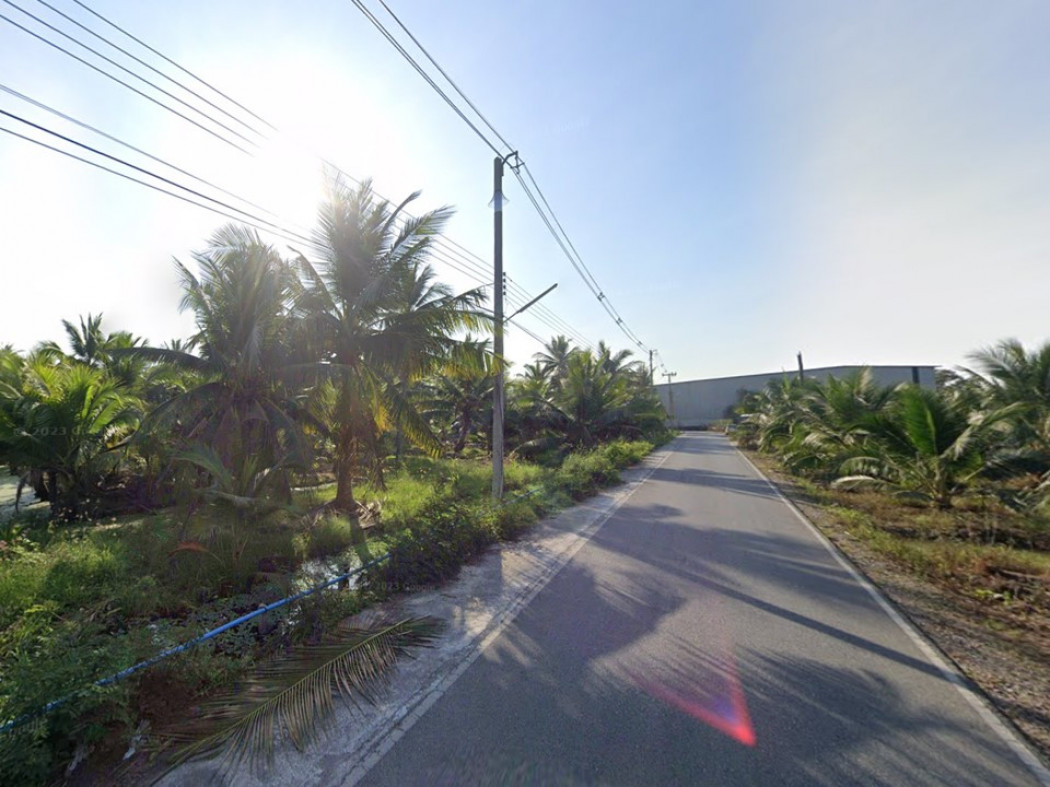 ขาย ที่ดิน สวนมะพร้าว หมู่ 6 ซอยเจ๊ปาน 26 ไร่ 77 ตร.วา รูปที่ 6