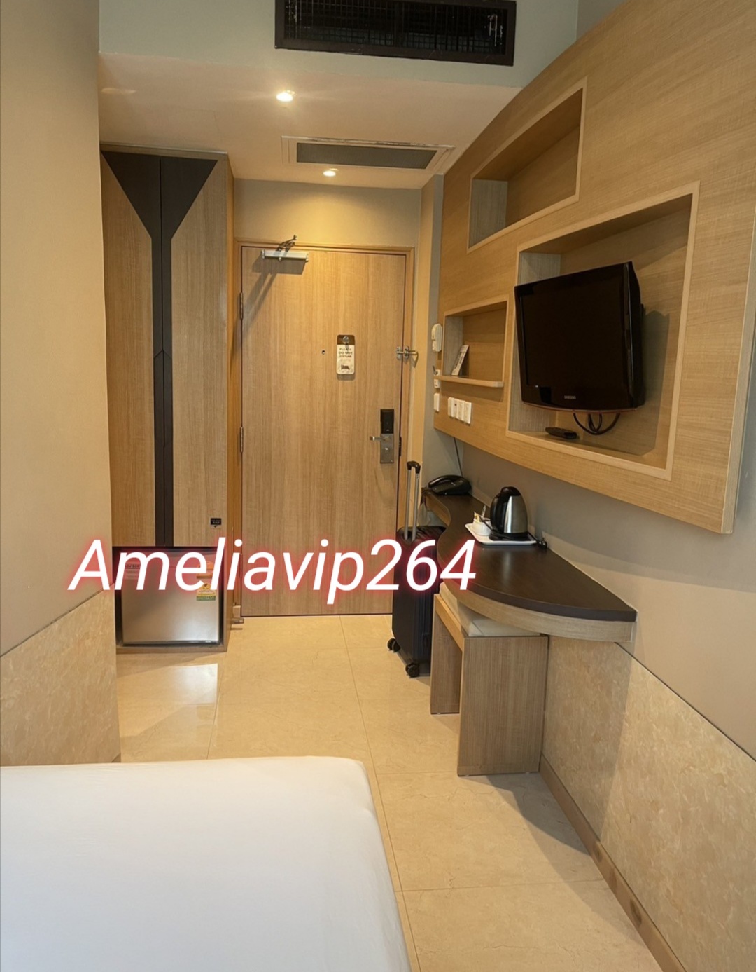 งาน​วีไอพี​ต่างประเทศ​สิงคโปร์​+++ ameliavip264  รูปที่ 3