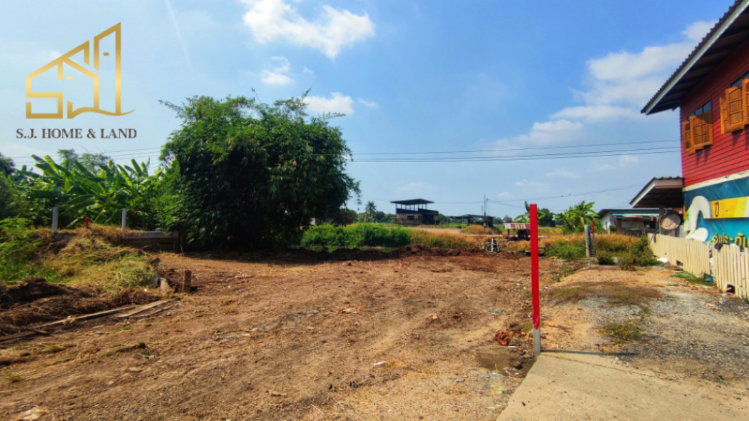 ที่ดินริมน้ำ อ. บางไทร อยุธยา ฝั่งน้ำไม่ท่วม ID-13876 รูปที่ 4