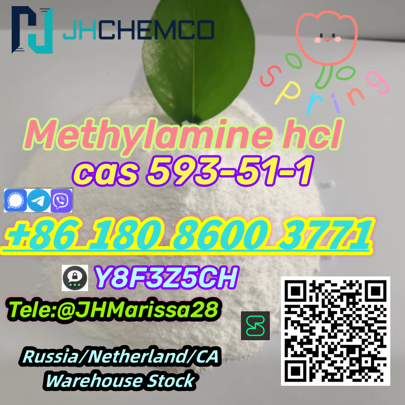Best Sale CAS 593-51-1 Methylamine hydrochloride   Threema: Y8F3Z5CH		 รูปที่ 4