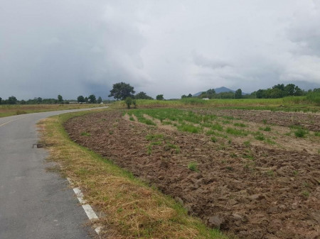 ขาย ที่ดิน ห่างจาก ตัวเมือง ชลยุรี ประมาณ 10 กม. ชลบุรี 30 ไร่ 57 ตร.วา เหมาะทำโครงการจัดสรร รูปที่ 4