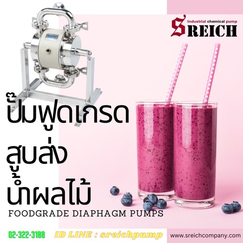 ปั๊มสูบจ่ายของเหลว food grade pump  สำหรับงานอุตสาหกรรมอาหาร รูปที่ 1