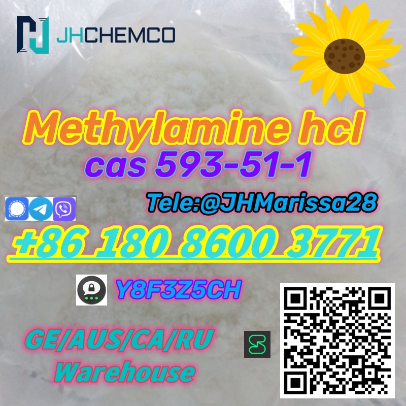 New Arrival CAS 593-51-1 Methylamine hydrochloride   Threema: Y8F3Z5CH		 รูปที่ 3