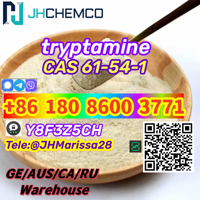 Professional Delivery CAS 61-54-1  tryptamine Threema: Y8F3Z5CH		 รูปที่ 1