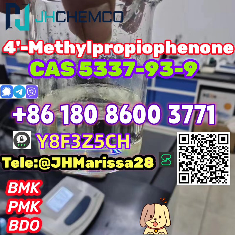 Superb Quality CAS 5337-93-9 4'-Methylpropiophenone Threema: Y8F3Z5CH		 รูปที่ 1