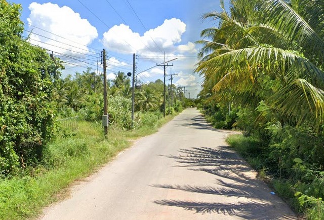 ขายที่ดิน พร้อมสวนเกษตร (สวนยาง+มะพร้าว) ต.ชัยบุรี อ.เมืองพัทลุง จ.พัทลุง 7-1-88 ไร่ ราคา 5.5 ล้านบาท รูปที่ 1