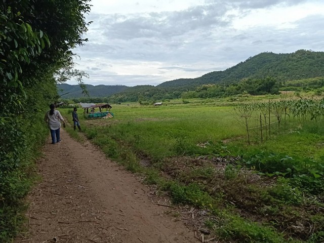 ขายที่ดิน1งาน82ตรว.250,000บ. วิวเขา ติดน้ำ ถนน บ้านแม่สาบ ต.สะเมิงใต้ อ.สะเมิง เชียงใหม่ รูปที่ 1