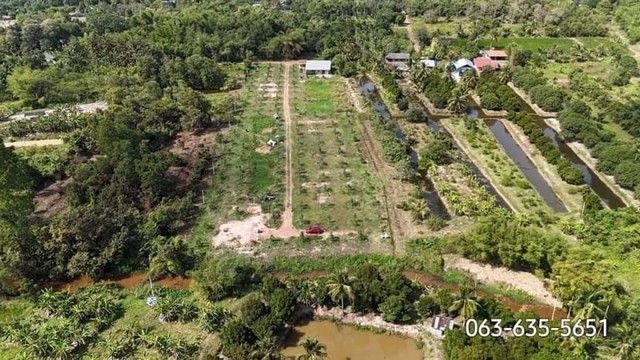 ขายสวนทุเรียนติดลำธาร วิวเขา ใกล้ ม.พระจอมเกล้าพระนครเหนือเขตปราจีน เงียบสงบแต่ใกล้แหล่งชุมชน รูปที่ 1