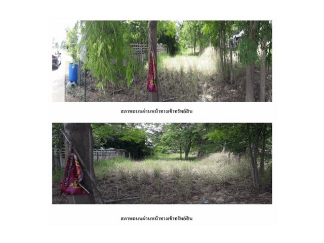 ขายที่ดิน  ตำบลเขาท่าพระ เมืองชัยนาท (PG-CHN630005) รูปที่ 1