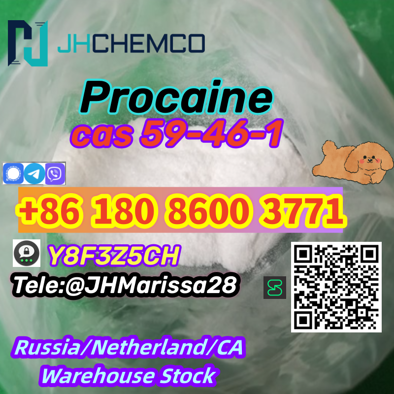 EU Warehouse In Stock CAS 59-46-1  Procaine Threema: Y8F3Z5CH		 รูปที่ 1