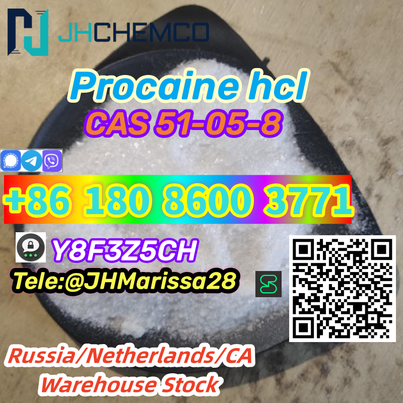 99% Purity CAS 51-05-8 Procaine hydrochloride Threema: Y8F3Z5CH		 รูปที่ 1