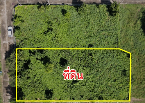 ขายที่ดิน ชวนชื่น ฟลอร่าวิลล์ ใกล้สนามกอล์ฟในโครงการ บางคูวัด ปทุมธานี รูปที่ 3