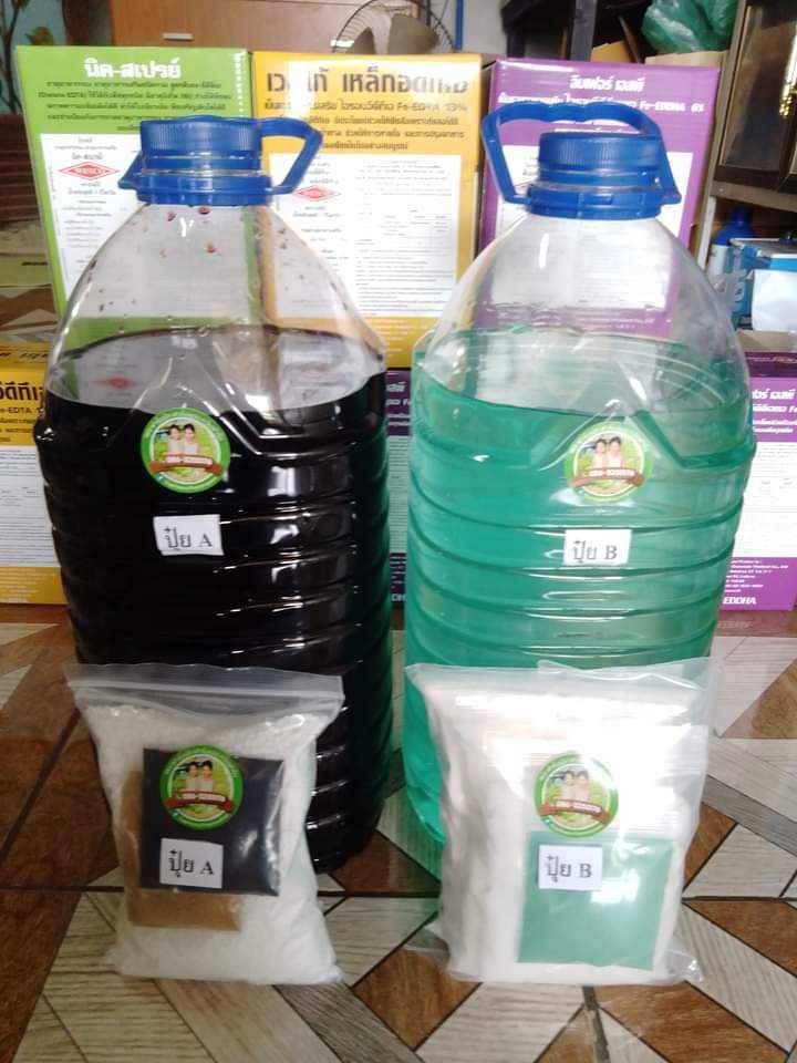 ปุ๋ย AB สูตรเพิ่มพลังระเบิดราก เป็นแม่ปุ๋ยแบบแห้งนำไปผสมเอง สำหรับผักสลัด ผักไทย ผักกินใบทุกชนิด พร้อมส่ง  ส่งฟรีไม่มีบวกเพิ่ม รูปที่ 5