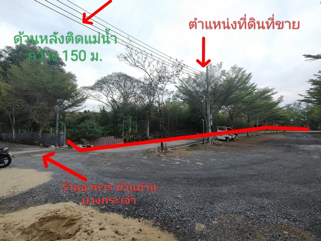 ขายที่ดินแปล่าติดแม่น้ำเจ้าพระยา คุ้งบางกระเจ้า ซอยเพชรหึงษ์ 20 รูปที่ 1