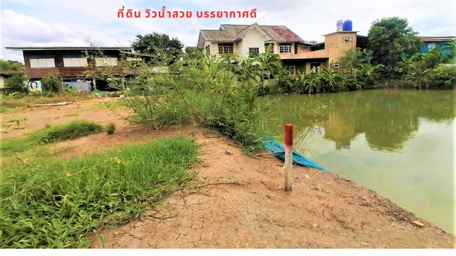 ขายที่ดินถมแล้ว  วิวด้านหลังแปลงติดน้ำและวิวนา บรรยากาศดี  40-200 ตรว. สวนพริกไทย  ปทุมธานี รูปที่ 1