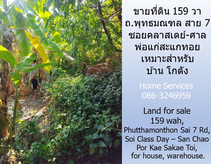 ขายที่ดิน 159 วา ถ.พุทธมณฑล สาย 7 ซอยคลาสเดย์-ศาลพ่อแก่สะแกทอย เหมาะสำหรับบ้าน โกดัง         รูปที่ 1