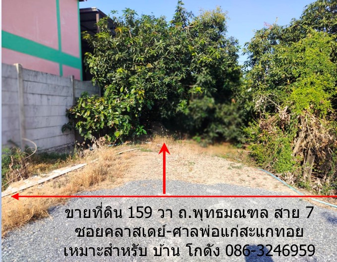 ขายที่ดิน 159 วา ถ.พุทธมณฑล สาย 7 ซอยคลาสเดย์-ศาลพ่อแก่สะแกทอย เหมาะสำหรับบ้าน โกดัง         รูปที่ 5