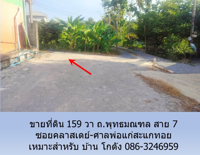 ขายที่ดิน 159 วา ถ.พุทธมณฑล สาย 7 ซอยคลาสเดย์-ศาลพ่อแก่สะแกทอย เหมาะสำหรับบ้าน โกดัง         รูปที่ 3