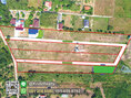 Urgent land for sale near Muak Lek, 239.1 Sq W, Phaya Yen, Pak Chong, Nakhon Ratchasima 