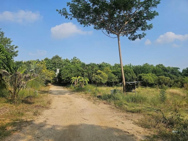 ขายที่ดิน ศรีราชา ชลบุรี ดถนนสวนเสือ-หนองค้อ ติดโครงการ D Town สวนเสือ TP-L0081 รูปที่ 1