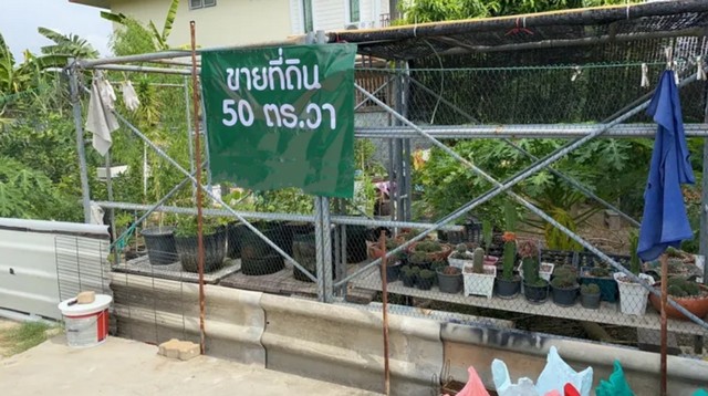 S2490 ขายที่ดินเนื้อที่ 50 ตารางวา ถนนสุขาภิบาล 5 ซอย 5 ย่านวัชรพล รูปที่ 1