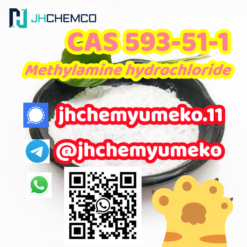 @JHchemYumeko CAS 593-51-1 Methylamine hydrochloride  รูปที่ 4