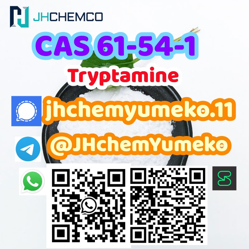 CAS 61-54-1 tryptamine telegram8615629040152 รูปที่ 1