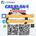 CAS 61-54-1 tryptamine telegram8615629040152