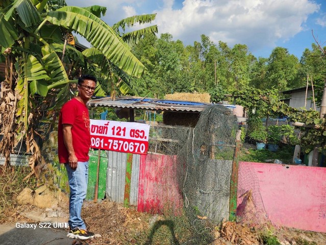 ขายที่ดินถมแล้วพื้นที่ 121 ตรว. ที่ตั้ง อำเภอ แก่งคอย จังหวัด สระบุรี  รูปที่ 1