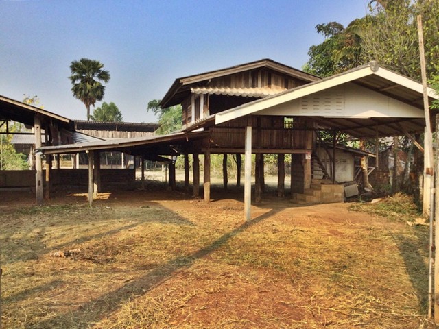 ขาย ที่ดินพร้อมสิ่งปลูกสร้าง บ้านพักอาศัยไม้ใต้ถุนสูง 1 ชั้น  ต.ปงยางคก อ.ห้างฉัตร จ.ลำปาง PAP5-0602 รูปที่ 1