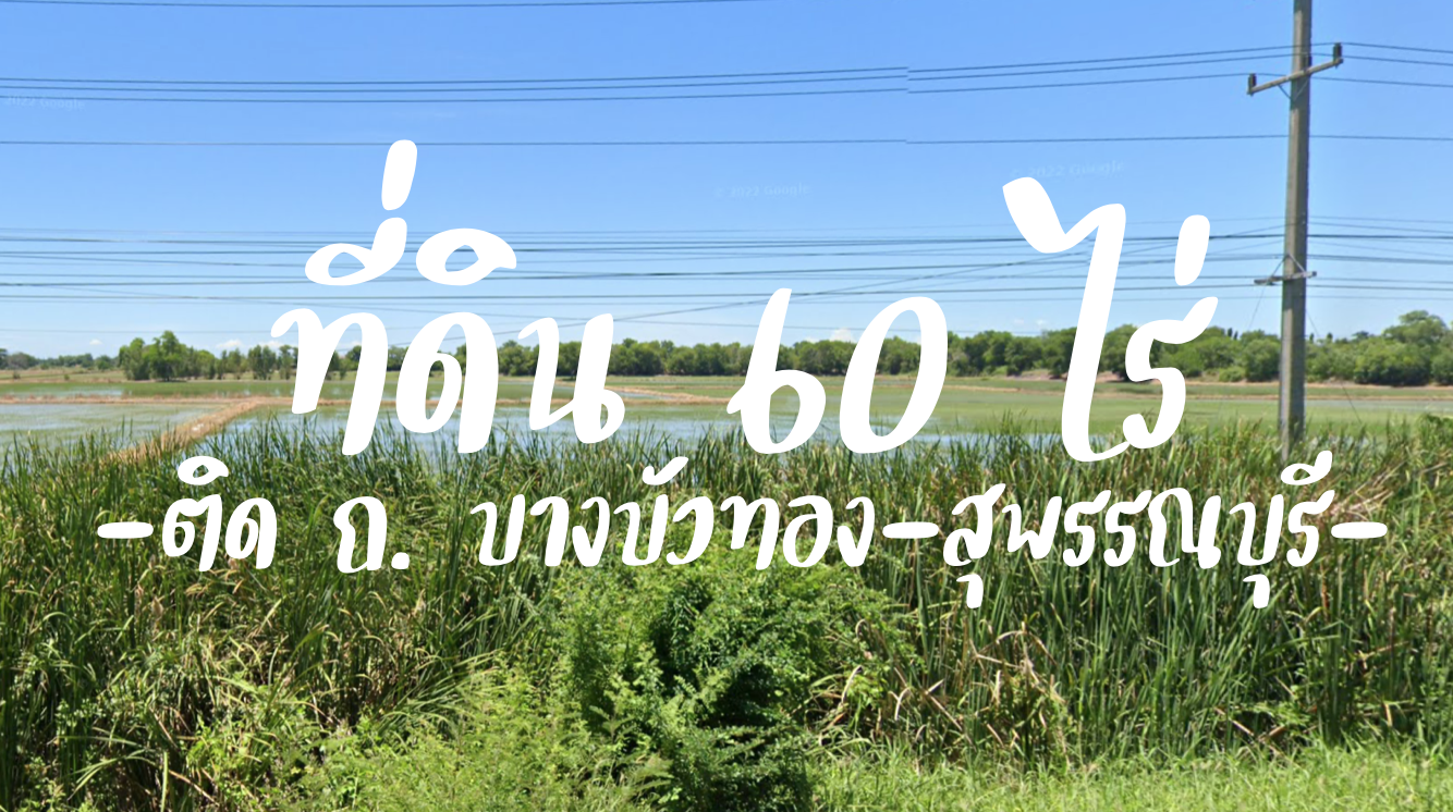 ที่ดิน 60 ไร่ หน้ากว้าง 160 ม. ติด ถ. บางบัวทอง-สุพรรณบุรี (340) (ผังเมืองสีเขียว) ใกล้ปั๊ม ปตท. 250 ม. ถูกกว่าราคาตลาด รูปที่ 1