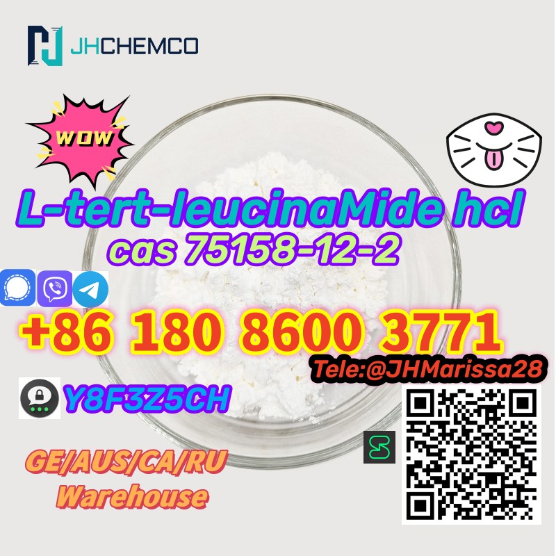 Professional CAS 75158-12-2 L-tert-leucinaMide hydrochloride Threema: Y8F3Z5CH		 รูปที่ 1