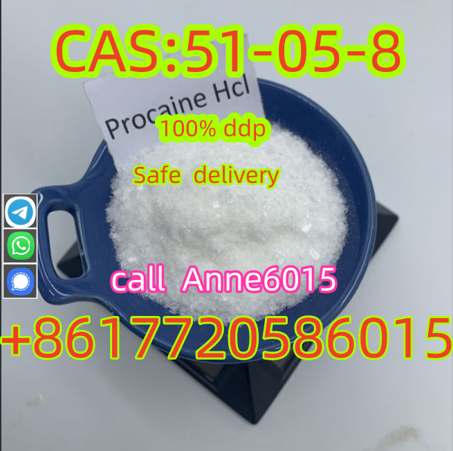 High Quality CAS 51-05-8 Hydrochloride HCl Diphenhydramine Procaine รูปที่ 1