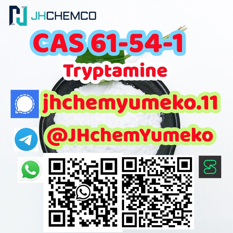 Hot Quality CAS 61-54-1 tryptamine telegram8615629040152 รูปที่ 4