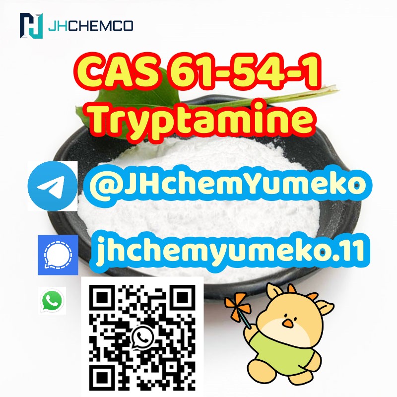 Hot Quality CAS 61-54-1 tryptamine telegram8615629040152 รูปที่ 1