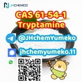 Hot Quality CAS 61-54-1 tryptamine telegram8615629040152