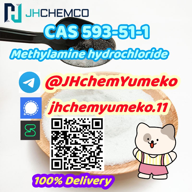 Best Price CAS 593-51-1 Methylamine hydrochloride Whatsapp+447394494093 รูปที่ 3
