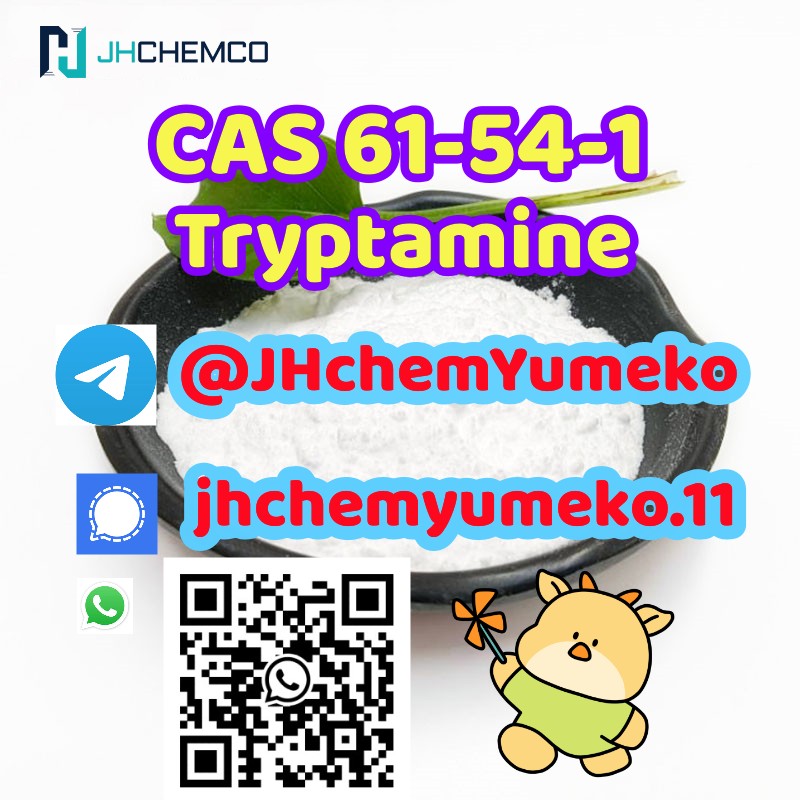 Hot Quality CAS 61-54-1 tryptamine telegram8615629040152 รูปที่ 3