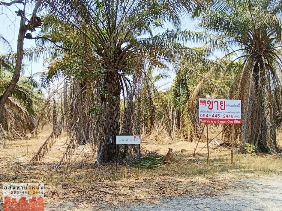 ขายที่ดินจัดสรร กาญจนบุรี ด่วนพื้นที่ 2ไร่สะอาด สงบ สะดวก ปลอดภัย รูปที่ 1