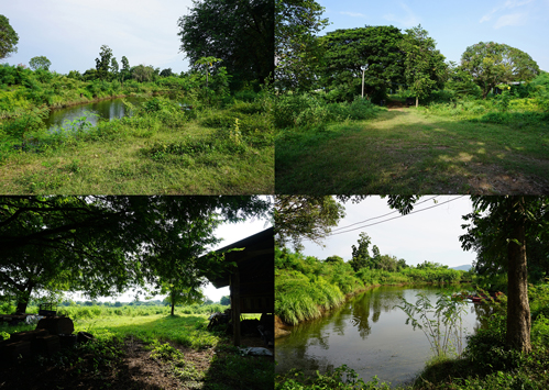 ขายที่ดิน ซอยโรงไฟฟ้าแก่งคอย 2 แก่งคอย สระบุรี รูปที่ 3