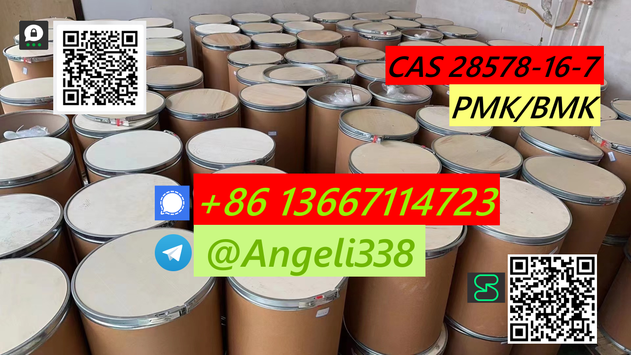 CAS 28578-16-7 PMK  Whatsapp/signal/telegram +8613667114723 รูปที่ 6