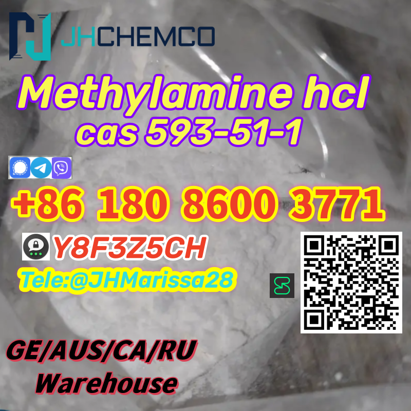 Best Sale CAS 593-51-1 Methylamine hydrochloride   Threema: Y8F3Z5CH		 รูปที่ 1